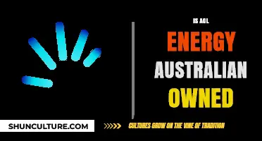 Who Owns AGL Energy? Exploring AGL's Ownership Structure