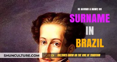 Exploring Brazilian Genealogy: The Origins of Aguiar as a Surname