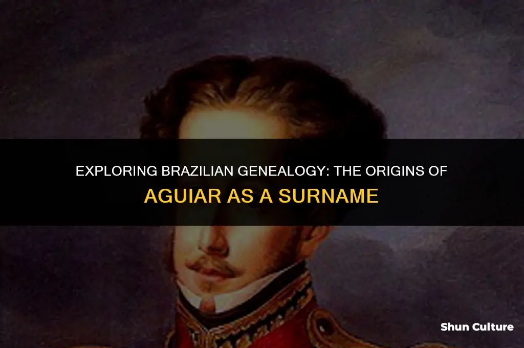is aguiar a name or surname in brazil