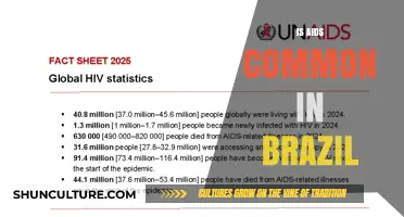 Exploring the Prevalence of AIDS in Brazil: Facts and Figures
