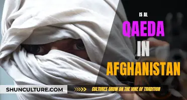 Al Qaeda's Resurgence: Examining the Terrorist Group's Presence in Afghanistan