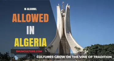 Is Alcohol Allowed in Algeria? Exploring Legal and Cultural Perspectives