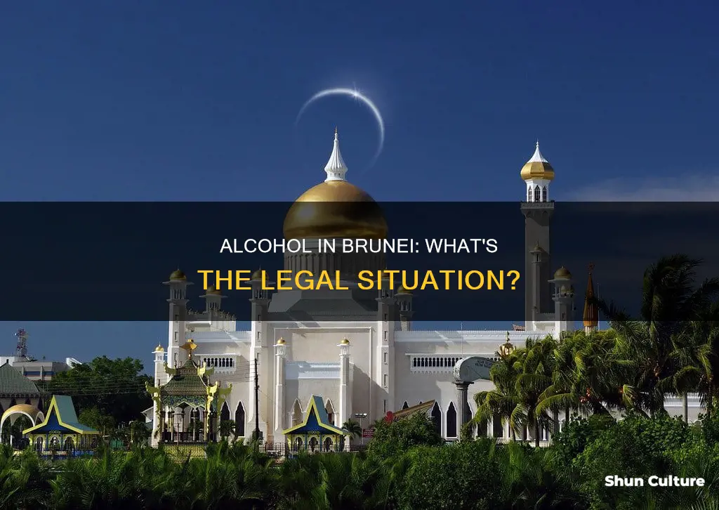 is alcohol allowed in brunei