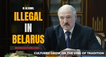 Alcohol Legality in Belarus: Is It Prohibited?