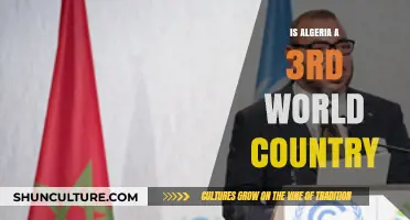 Is Algeria a Third World Country? Exploring Its Economic and Social Status