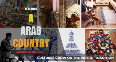 Is Algeria Truly an Arab Country? Exploring Its Cultural Identity