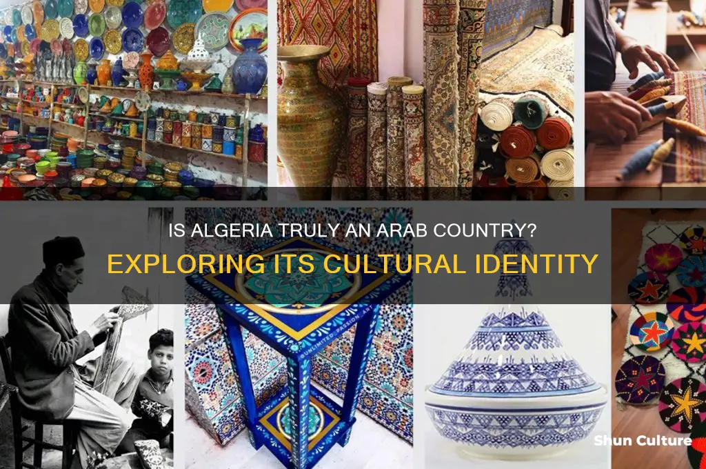 is algeria a arab country
