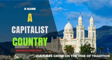 Is Algeria Capitalist? Exploring Its Economic System and Policies