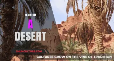 Is Algeria a Desert? Exploring Its Diverse Landscapes and Climate