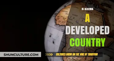 Is Algeria Developed? Exploring Its Economy, Infrastructure, and Global Standing