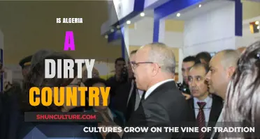 Exploring Algeria's Cleanliness: Myths, Realities, and Environmental Efforts