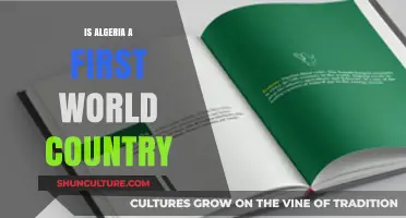 Is Algeria a First World Country? Exploring Its Global Standing