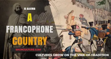 Is Algeria Francophone? Exploring Its Language and Cultural Identity