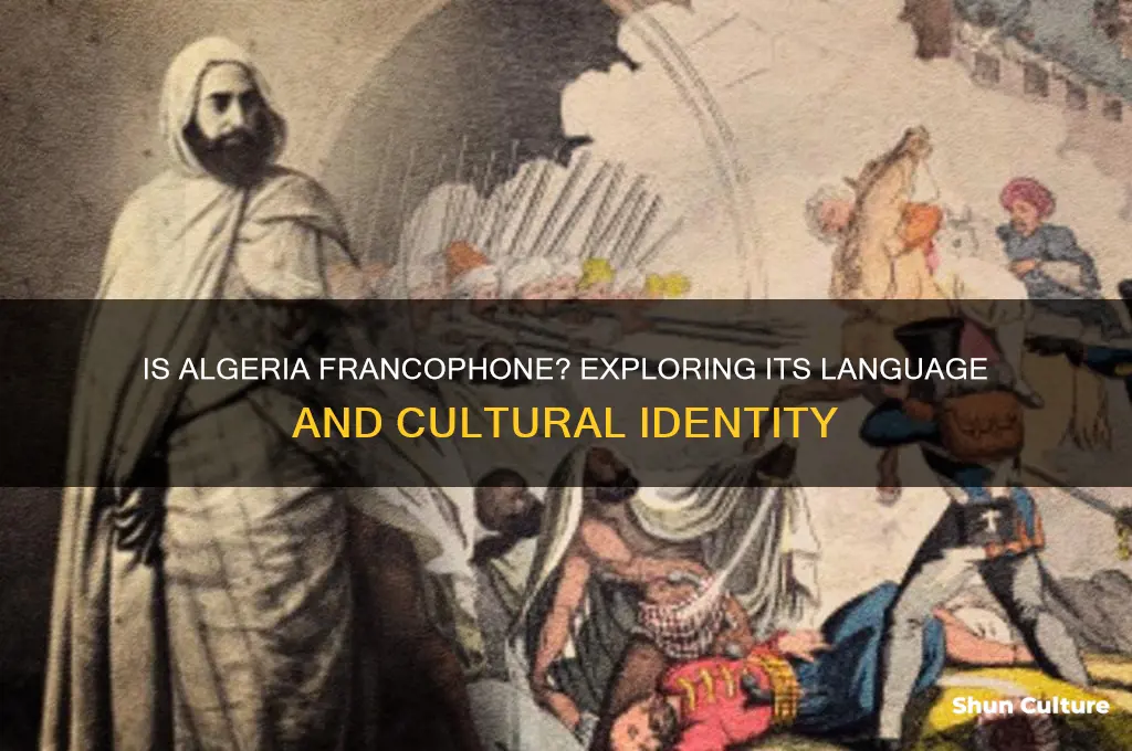 is algeria a francophone country