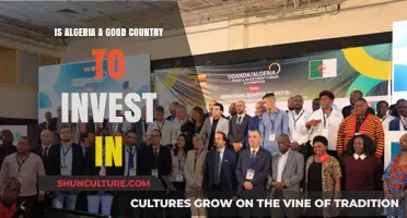 Algeria's Investment Potential: Opportunities, Challenges, and Future Prospects