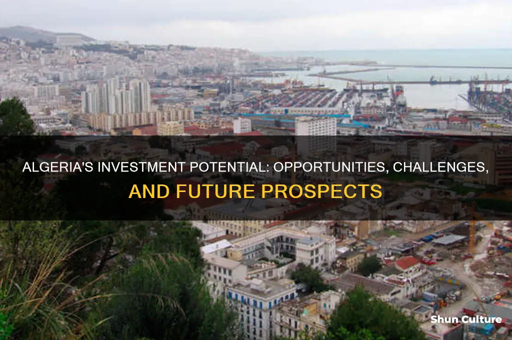 is algeria a good country to invest in