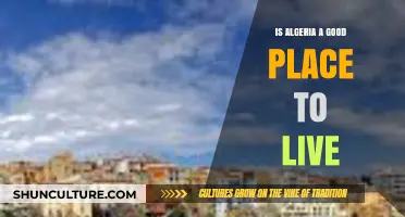 Exploring Algeria: Quality of Life, Culture, and Living Conditions