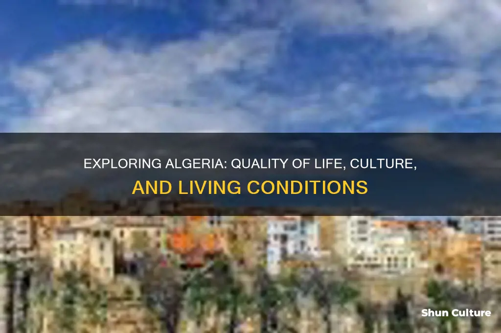 is algeria a good place to live