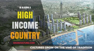 Is Algeria a High-Income Country? Exploring Its Economic Status