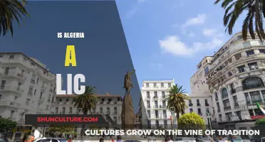 Is Algeria a LIC? Exploring Its Economic Classification and Status