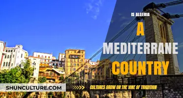 Exploring Algeria's Mediterranean Identity: Geography, Culture, and Coastal Connections