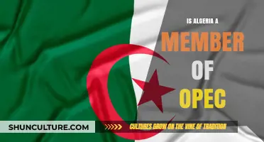 Algeria's OPEC Membership: Role, Impact, and Energy Influence Explained