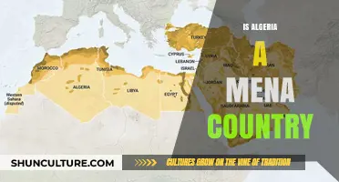 Is Algeria a MENA Country? Exploring Its Regional Classification