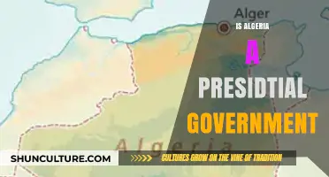 Is Algeria a Presidential Government? Exploring Its Political System