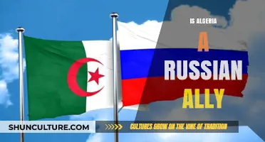 Algeria and Russia: Strategic Partnership or Political Alliance?