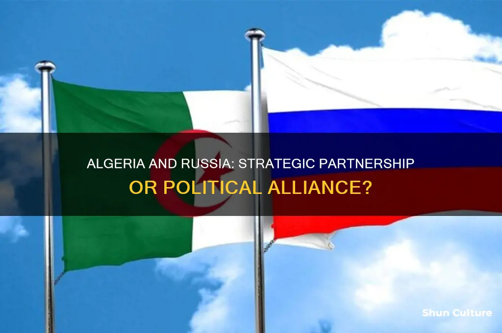 is algeria a russian ally