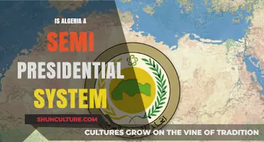 Algeria's Political Structure: Semi-Presidential System Explained