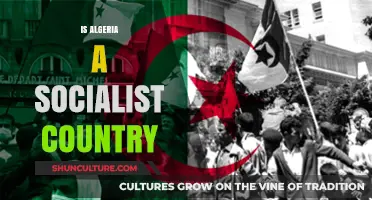 Is Algeria Socialist? Exploring Its Political and Economic System