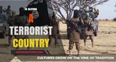 Algeria and Terrorism: Debunking Myths and Understanding Realities