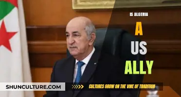 Is Algeria a US Ally? Exploring Diplomatic Ties and Interests