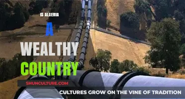 Is Algeria Wealthy? Exploring Its Economy, Resources, and Development