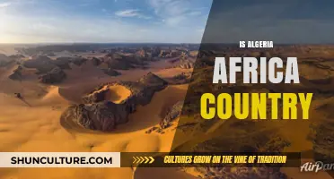 Is Algeria an African Country? Exploring Its Geography and Identity