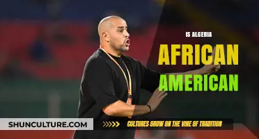 Is Algeria African American? Exploring Cultural Identities and Misconceptions