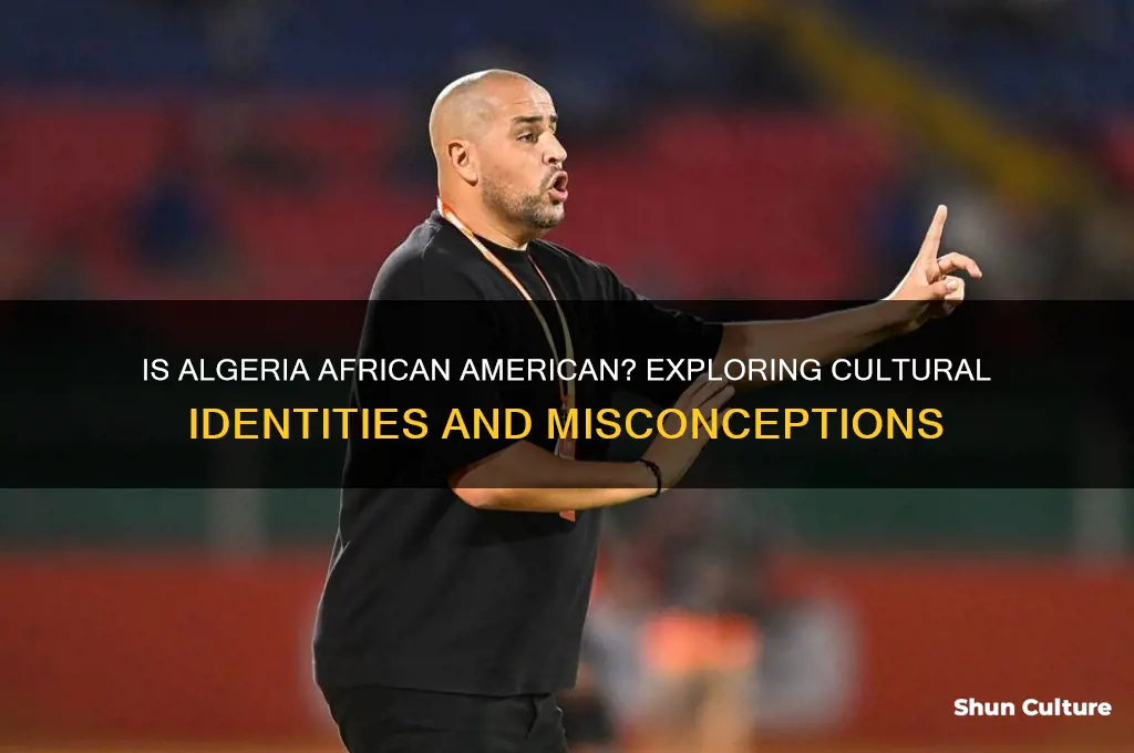is algeria african american