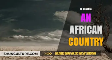 Is Algeria an African Country? Exploring Geography and Identity