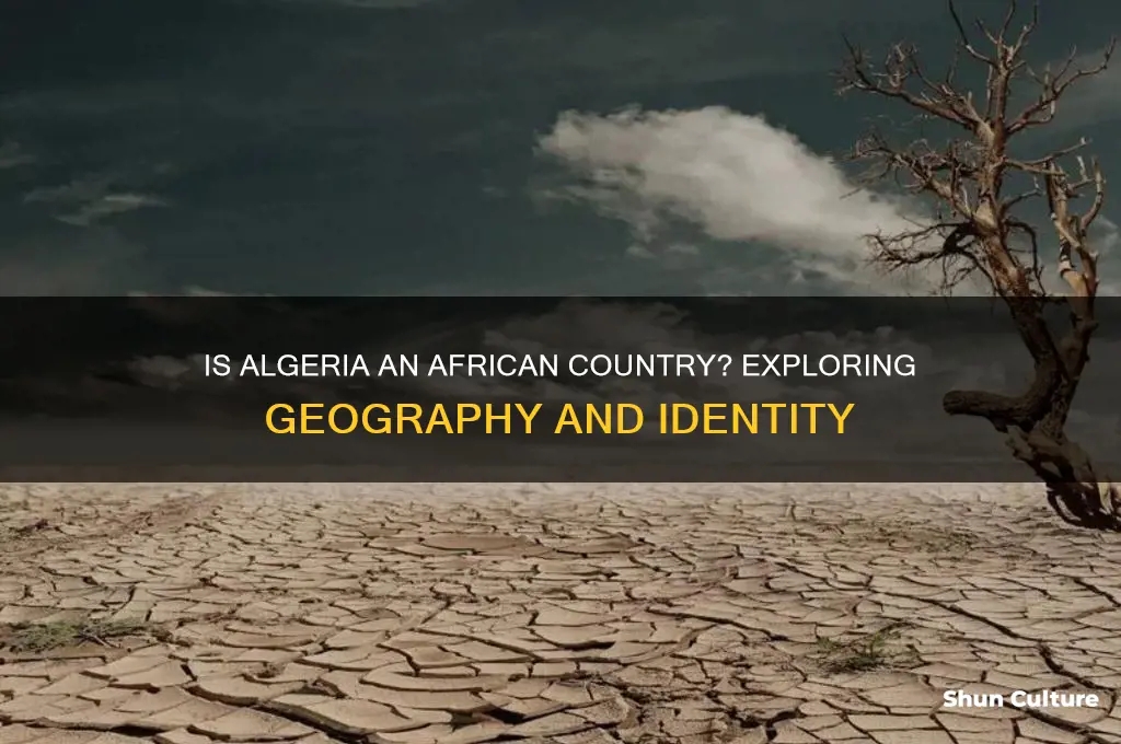 is algeria an african country