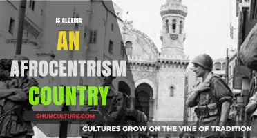 Exploring Algeria's Afrocentric Identity: Culture, History, and Pan-Africanism