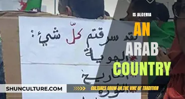 Is Algeria Truly Arab? Exploring Its Cultural and Historical Identity