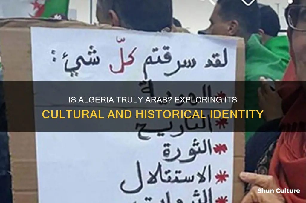 is algeria an arab country