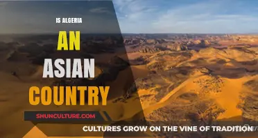 Is Algeria an Asian Country? Exploring Its Geography and Cultural Identity