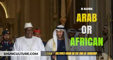 Algeria's Identity: Unraveling the Arab-African Cultural Fusion Debate