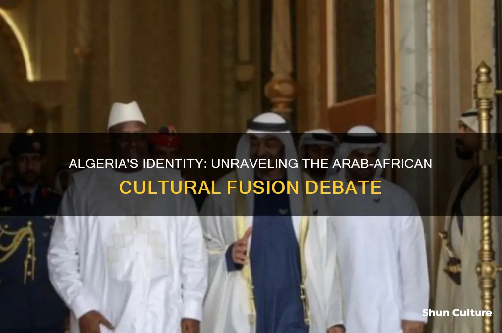 is algeria arab or african