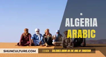 Is Algeria Arabic? Exploring Language, Culture, and Identity in Algeria