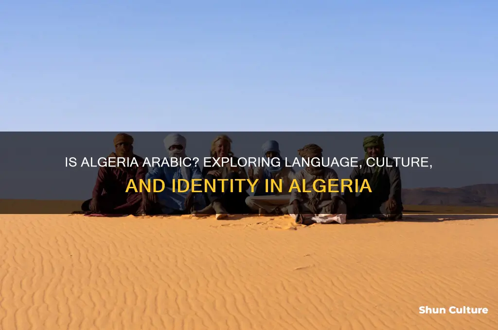 is algeria arabic