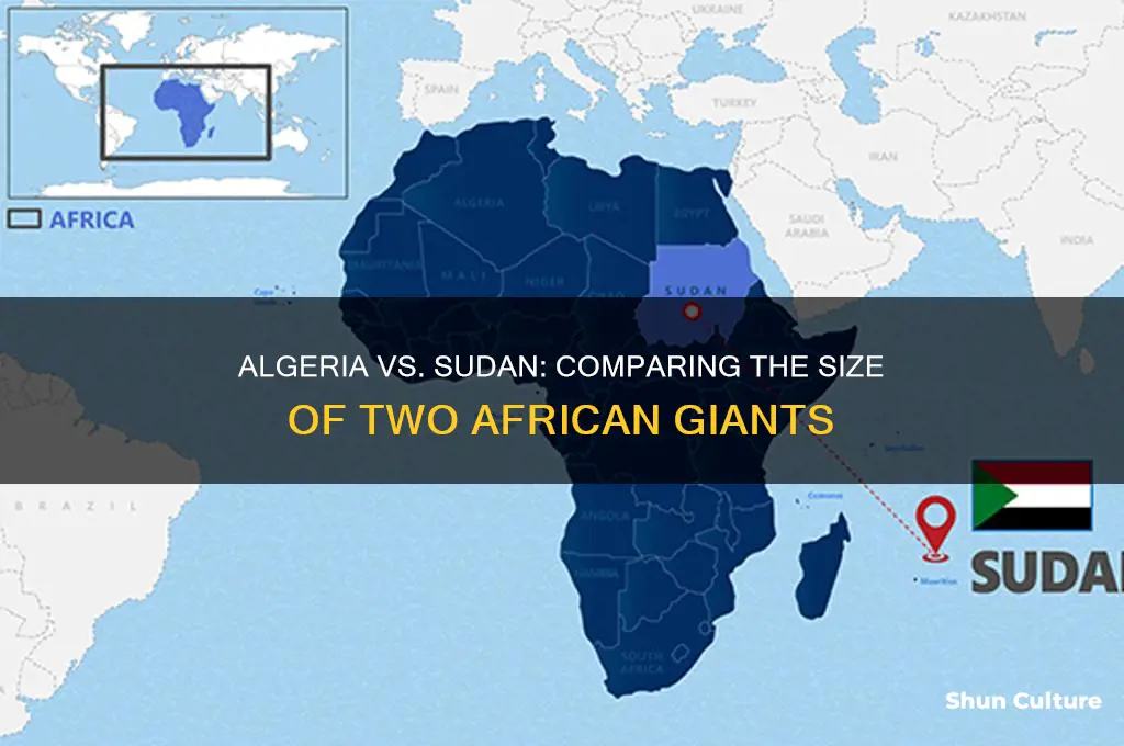is algeria bigger than sudan