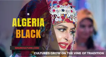 Is Algeria Black? Exploring Ethnicity, Identity, and Cultural Heritage